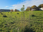 Vert Plateau